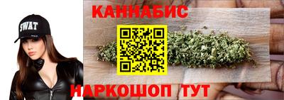 индика Обь