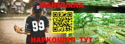 индика Обь