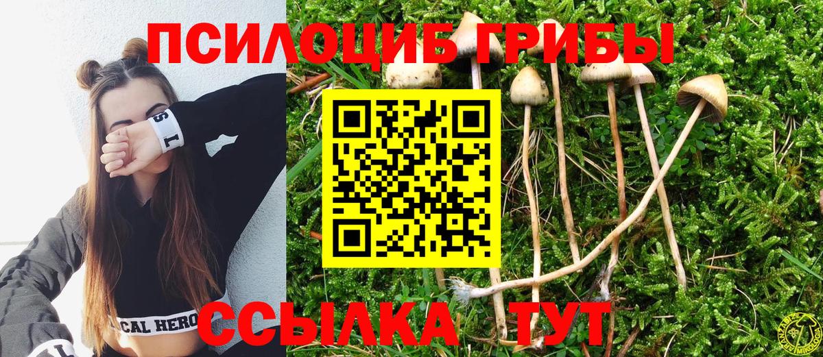 ГАШ Сатка