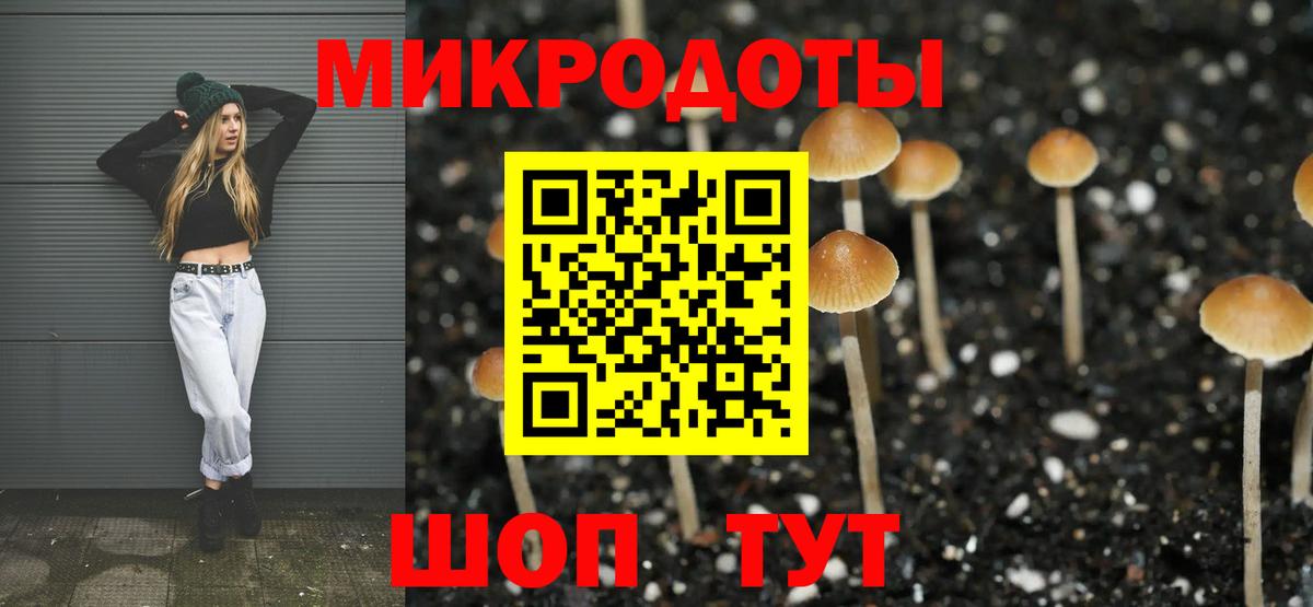 Сатка  Псилоцибиновые грибы MAGIC MUSHROOMS  Вход с VPN 